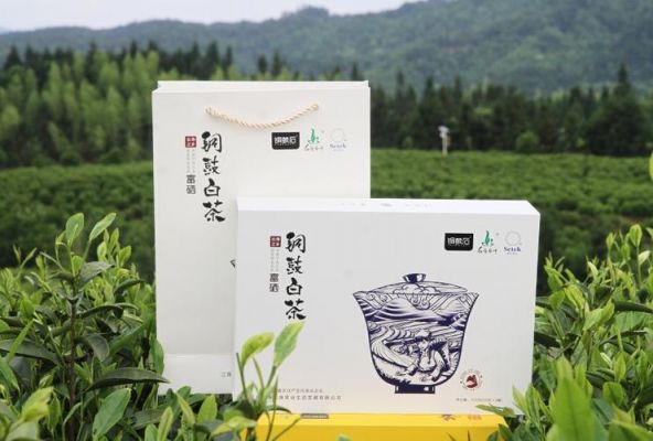 铜鼓有机白茶价格查询(铜鼓茶具)-图3 铜鼓有机白茶价格查询(铜鼓茶具)-图3