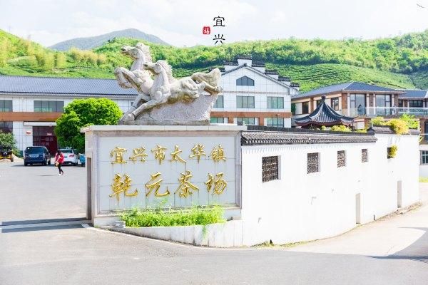 乾元茶价格(乾元茶场)-图3 乾元茶价格(乾元茶场)-图3