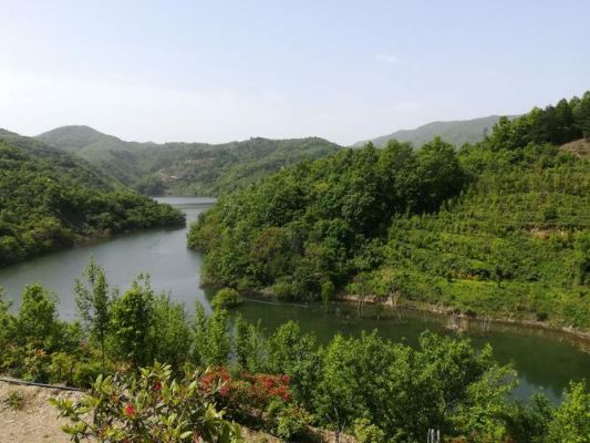 南漳玉龙湾服务价格(南漳玉龙超市)-图3 南漳玉龙湾服务价格(南漳玉龙超市)-图3