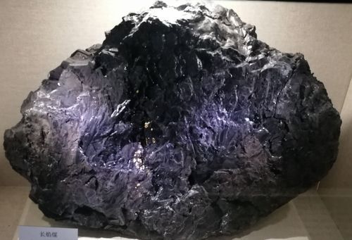 长焰煤价格（长焰煤价格多少钱一吨）
