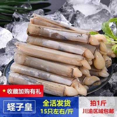 圣子价格(圣子皇多少钱一斤)-图3 圣子价格(圣子皇多少钱一斤)-图3