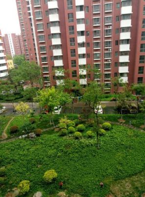 兖州太阳七区价格(兖州太阳七区什么时候交房)-图3 兖州太阳七区价格(兖州太阳七区什么时候交房)-图3