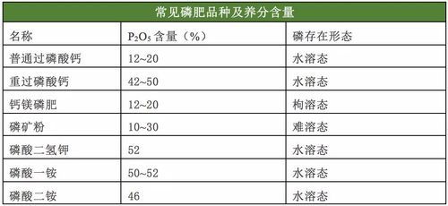赛众28肥料价格查询（赛种二八肥料的价格）
