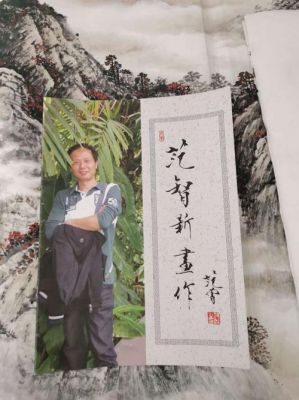 范智新价格（范智新画家今年多少岁）