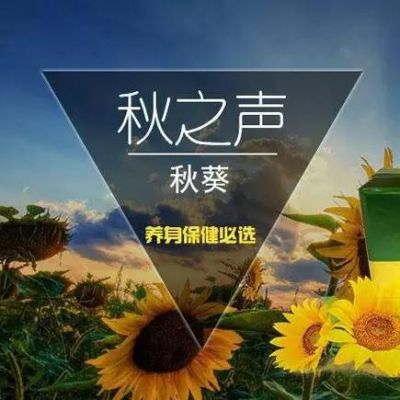 秋之声价格（秋之声的意思）