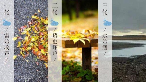 秋之声价格(秋之声的意思)-图3 秋之声价格(秋之声的意思)-图3