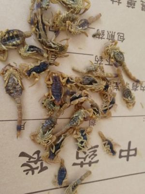 广西僵蚕价格(僵蚕价格最新价格表)-图3 广西僵蚕价格(僵蚕价格最新价格表)-图3
