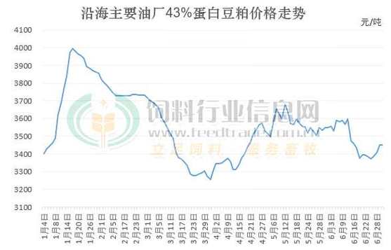 吉林豆柏价格(东北豆柏价格)-图3 吉林豆柏价格(东北豆柏价格)-图3