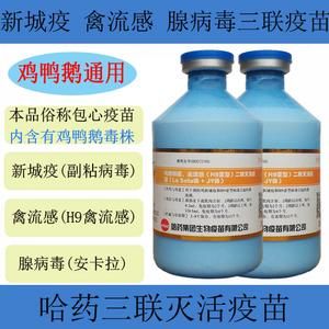 新流腺疫苗价格(新流腺疫苗是安卡拉吗)-图2 新流腺疫苗价格(新流腺疫苗是安卡拉吗)-图2