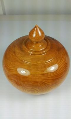 黄桧木价格(黄桧木价格多少)-图1 黄桧木价格(黄桧木价格多少)-图1