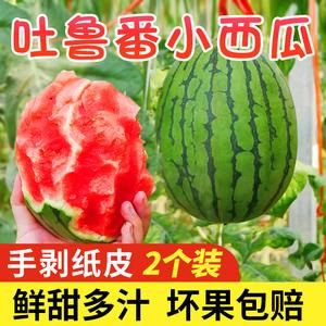 新疆小西瓜的价格(新疆小西瓜多少钱一斤)-图3 新疆小西瓜的价格(新疆小西瓜多少钱一斤)-图3