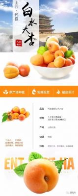 白水杏价格(繁峙白水杏多少钱一斤)-图3 白水杏价格(繁峙白水杏多少钱一斤)-图3