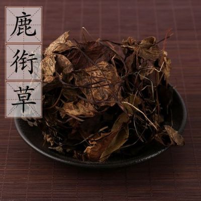 鹿药草价格(鹿药功效和作用及食用方法)-图2 鹿药草价格(鹿药功效和作用及食用方法)-图2