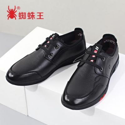 蛛王一号价格（蜘蛛王价格）