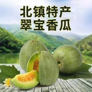 北镇香瓜价格表(锦州北镇香瓜)-图2 北镇香瓜价格表(锦州北镇香瓜)-图2