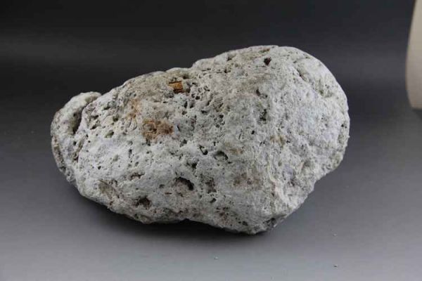 龙涏香价格（龙涏香真假）-图2