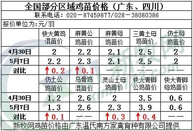 本地鸡苗价格（本地鸡苗价格最新行情）