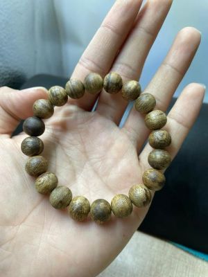 黑棋楠价格(黑棋楠和绿棋楠)-图3 黑棋楠价格(黑棋楠和绿棋楠)-图3