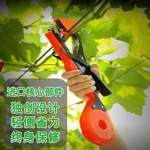 绑秧器价格(秧苗怎么绑视频)-图2 绑秧器价格(秧苗怎么绑视频)-图2