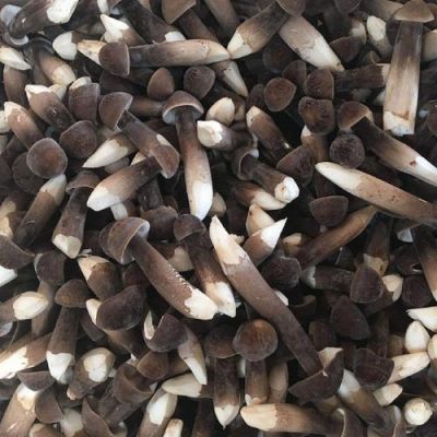 鸡纵蛋价格(鸡蛋价格最新消息)-图2 鸡纵蛋价格(鸡蛋价格最新消息)-图2