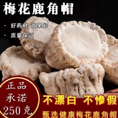 鹿盘价格（鹿盘粉的功效和副作用）