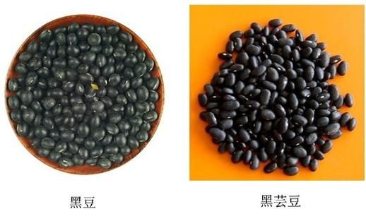 2017年黑小豆价格预期(2017年黑小豆价格预期走势)-图2 2017年黑小豆价格预期(2017年黑小豆价格预期走势)-图2