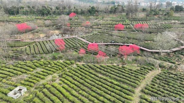 方谷价格表(方谷国际的产品怎么样)-图3 方谷价格表(方谷国际的产品怎么样)-图3