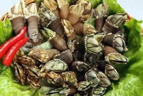 海鲜佛手价格(小海鲜佛手怎么做)-图3 海鲜佛手价格(小海鲜佛手怎么做)-图3