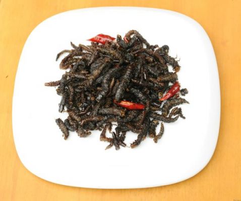 虾巴虫价格（虾巴虫图片价格）-图2