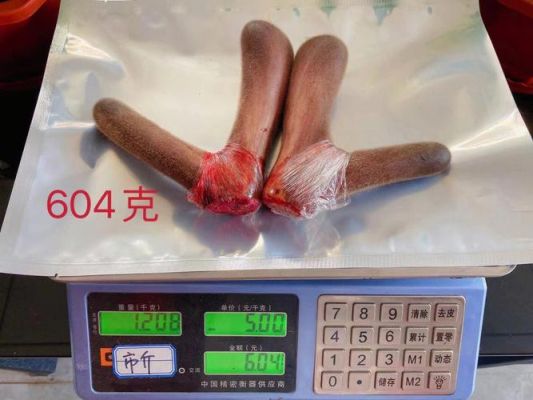 新鲜鹿茸的价格(新鲜鹿茸的价格是多少)-图3 新鲜鹿茸的价格(新鲜鹿茸的价格是多少)-图3