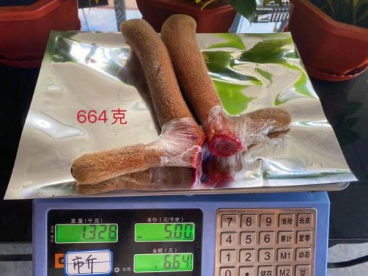 新鲜鹿茸的价格(新鲜鹿茸的价格是多少)-图2 新鲜鹿茸的价格(新鲜鹿茸的价格是多少)-图2
