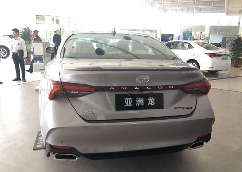亚洲龙鱼价格(亚洲龙价格?)-图2 亚洲龙鱼价格(亚洲龙价格?)-图2