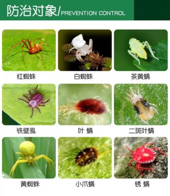 克螨特价格(克螨特安全间隔期)-图3 克螨特价格(克螨特安全间隔期)-图3