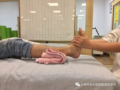 牵张器价格（牵张技术是不是牵伸）