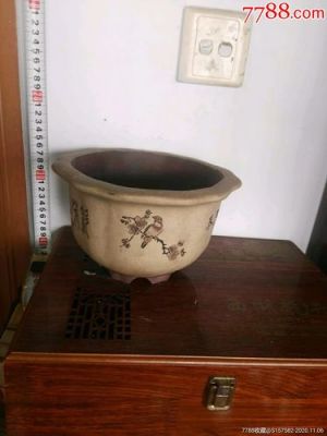 石陶花盆价格(石陶花盆价格多少)-图3 石陶花盆价格(石陶花盆价格多少)-图3