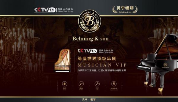 贝宁钢琴价格(贝宁钢琴是杂牌子)-图3 贝宁钢琴价格(贝宁钢琴是杂牌子)-图3
