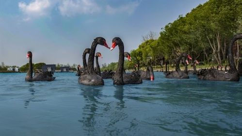 朱徐价格(朱徐线路线)-图3 朱徐价格(朱徐线路线)-图3