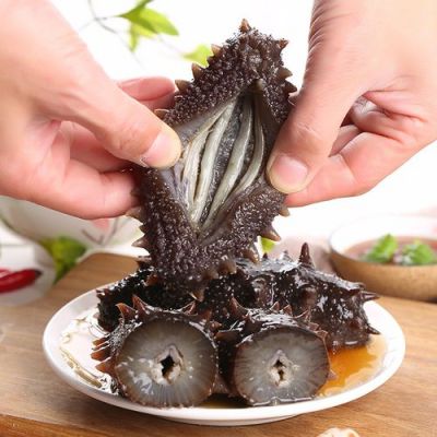 鲜食海参价格(鲜海参市场价格)-图2 鲜食海参价格(鲜海参市场价格)-图2