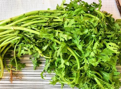 帝王菜价格(帝王菜的功效和作用)-图3 帝王菜价格(帝王菜的功效和作用)-图3