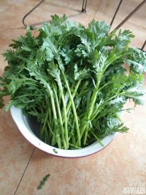 帝王菜价格(帝王菜的功效和作用)-图2 帝王菜价格(帝王菜的功效和作用)-图2