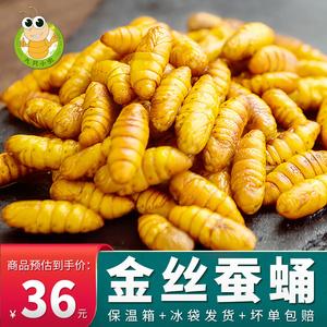 茧蛹价格(蛹的价格)-图3 茧蛹价格(蛹的价格)-图3