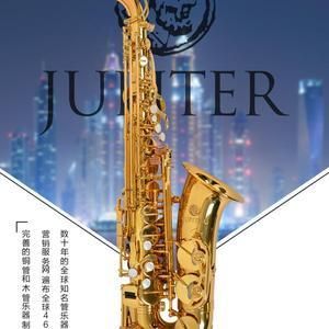 杰普特价格(杰普特萨克斯专卖店)-图3 杰普特价格(杰普特萨克斯专卖店)-图3