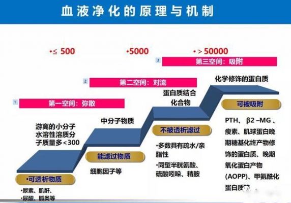 灌流价格(灌流时间)-图2 灌流价格(灌流时间)-图2