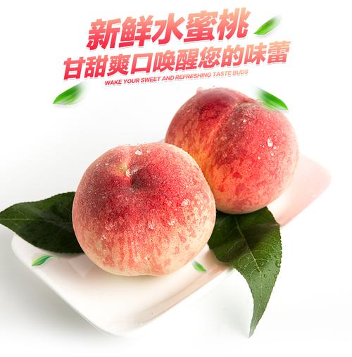 皮球桃价格(皮球桃和水蜜桃一样吗)-图2 皮球桃价格(皮球桃和水蜜桃一样吗)-图2