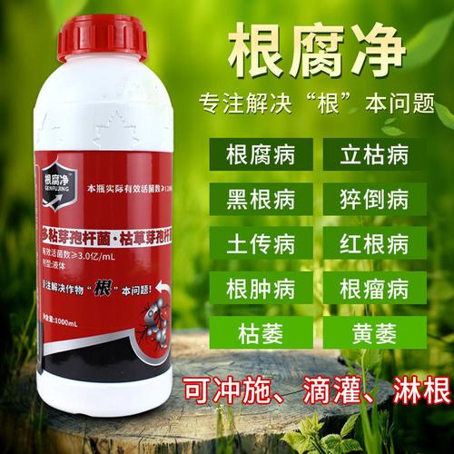 根腐净价格(根腐净产品好吗)-图1 根腐净价格(根腐净产品好吗)-图1