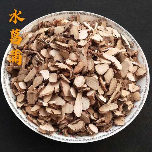 臭蒲根价格(臭蒲根的药名是什么)-图2 臭蒲根价格(臭蒲根的药名是什么)-图2