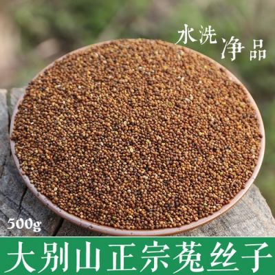 莵丝子价格(丝子的功效与作用)-图3 莵丝子价格(丝子的功效与作用)-图3