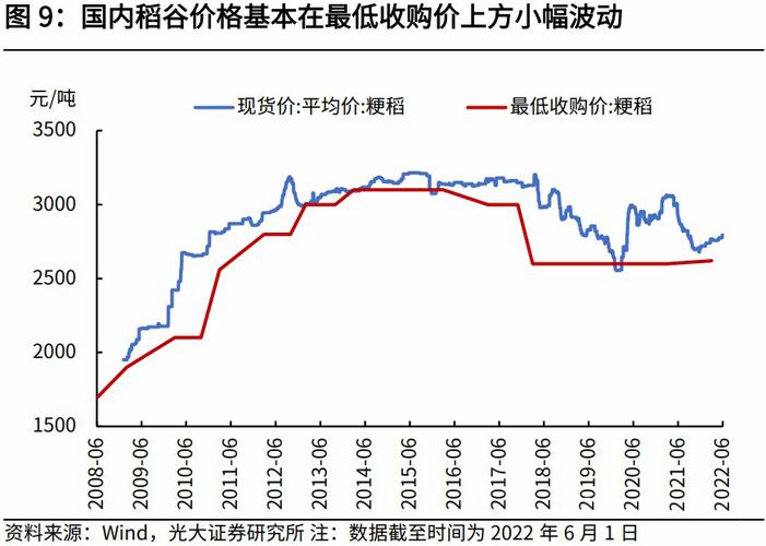 2017年黑水稻价格(2020黑水稻今后的价格走势)-图3 2017年黑水稻价格(2020黑水稻今后的价格走势)-图3
