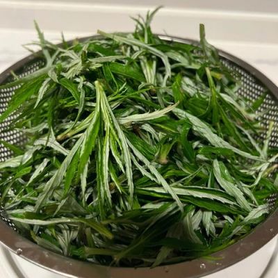 蒿子油的价格(蒿蒿油怎么吃)-图3 蒿子油的价格(蒿蒿油怎么吃)-图3