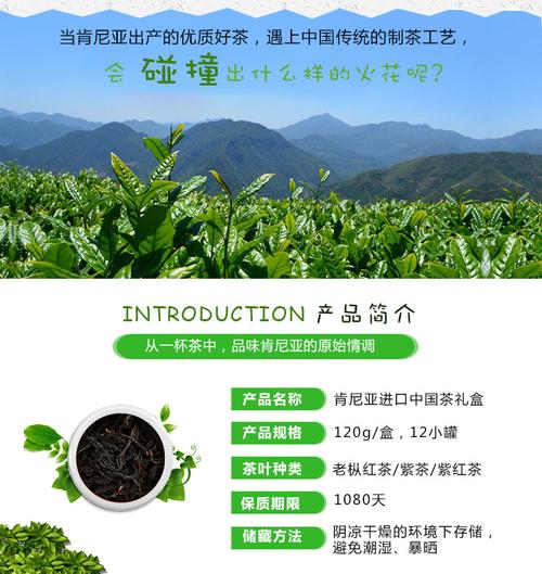 肯尼亚紫茶价格（肯尼亚茶叶品质优良,但一直没有大规模）